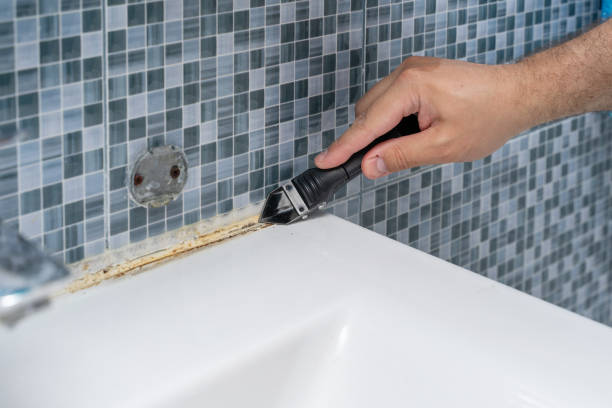 Best Post-Flood Mold Remediation in Shingle Springs, CA